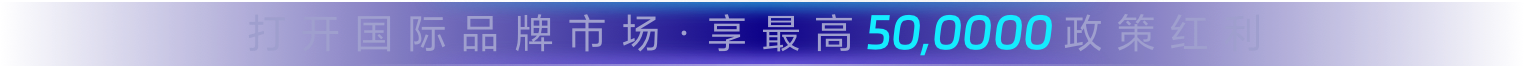 打开国际品牌市场·享最高50,0000政策红利