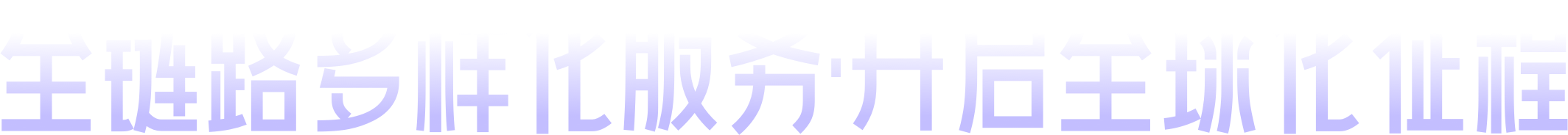 全链路多样化服务·开启全球化征程
